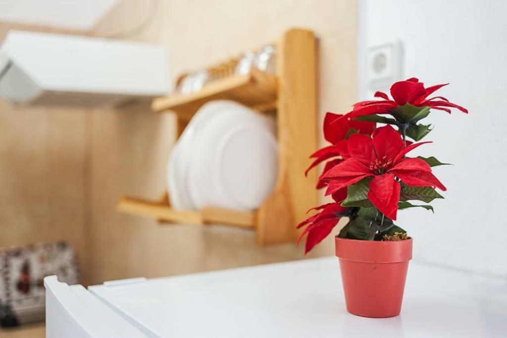 Apartamento Centro Vejer Vejer de la Frontera Esterno foto